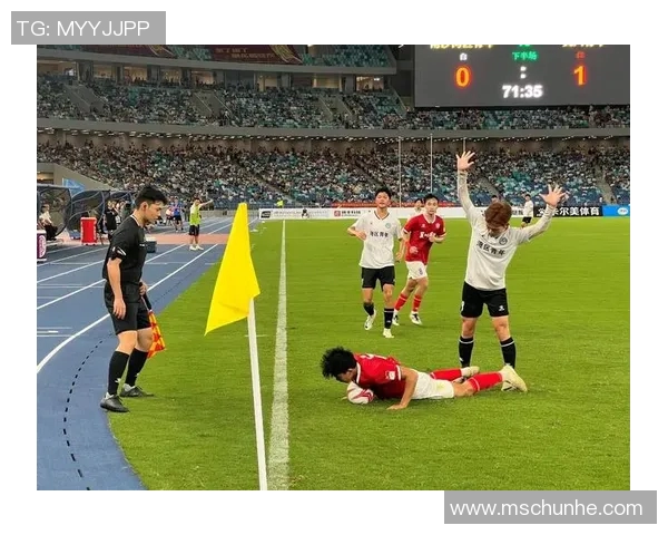 足球明星王振兴的成长历程与辉煌成就全景介绍